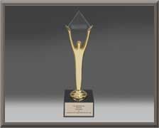 Gold Stevie Award 2023 for Breast Cancer Awareness